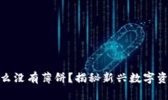 : TP钱包为什么没有薄饼？揭秘新兴数字资产的流