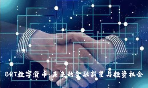 BRT数字货币：未来的金融新星与投资机会