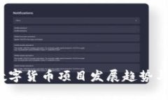 2023年国内数字货币项目发展趋势与投资机会分析