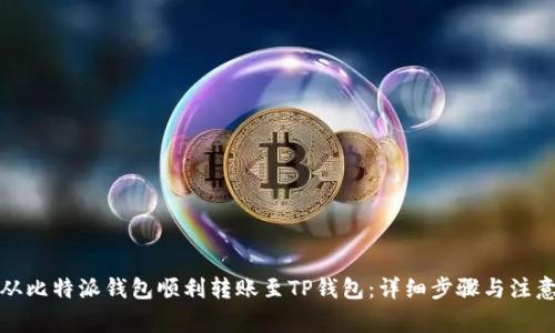 如何从比特派钱包顺利转账至TP钱包：详细步骤与注意事项
