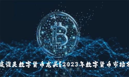 到底谁是数字货币龙头？2023年数字货币市场分析