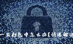 TP钱包交易一直打包中怎么办？快速解决方案与技