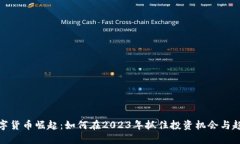 数字货币崛起：如何在2023年抓住投资机会与趋势