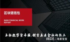 玉林数字货币圈：探索未来金融的热土