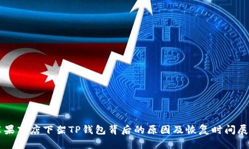 苹果商店下架TP钱包背后的原因及恢复时间展望