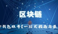 如何注册TP钱包账号？一站式指南与最新热点解析